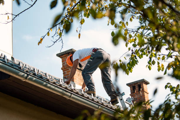 Steel Roofing in Cricket, NC